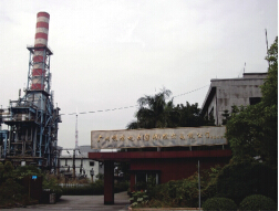 明珠電.jpg 明珠電.jpg